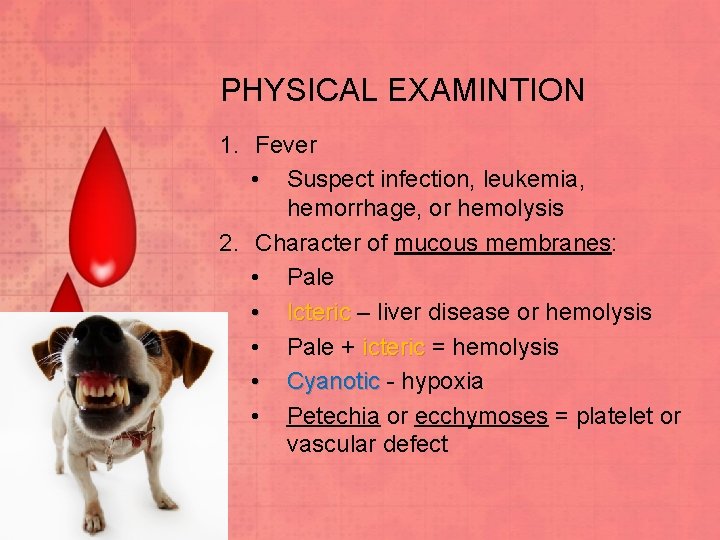 PHYSICAL EXAMINTION 1. Fever • Suspect infection, leukemia, hemorrhage, or hemolysis 2. Character of