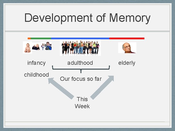 Development of Memory infancy childhood adulthood Our focus so far This Week elderly 