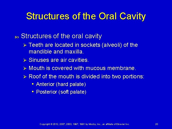 Structures of the Oral Cavity Structures of the oral cavity Teeth are located in