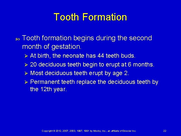 Tooth Formation Tooth formation begins during the second month of gestation. At birth, the