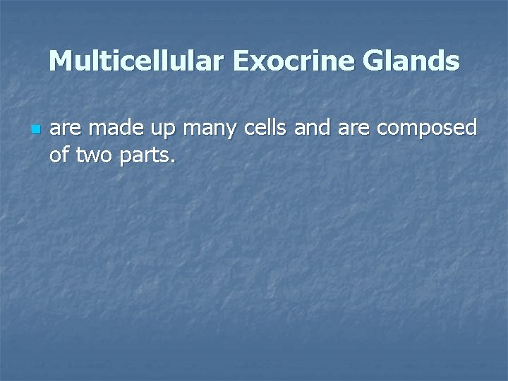 Multicellular Exocrine Glands n are made up many cells and are composed of two