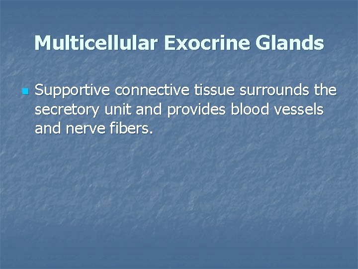 Multicellular Exocrine Glands n Supportive connective tissue surrounds the secretory unit and provides blood