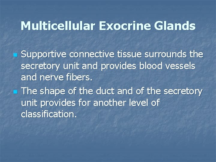 Multicellular Exocrine Glands n n Supportive connective tissue surrounds the secretory unit and provides