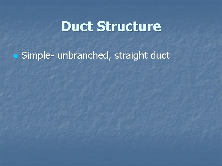 Duct Structure n Simple- unbranched, straight duct 