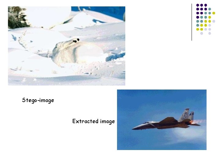 Stego-image Extracted image Stego-image Extracted image