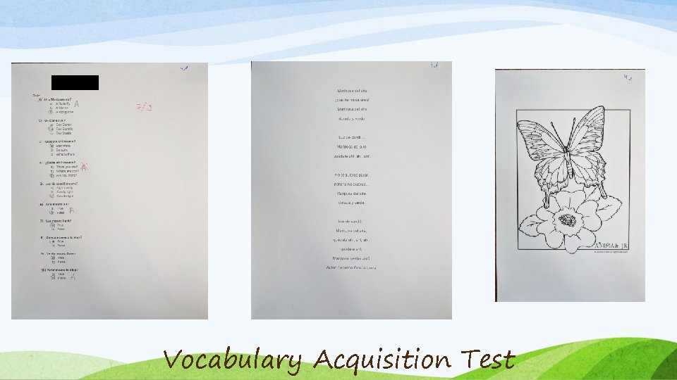 Vocabulary Acquisition Test 