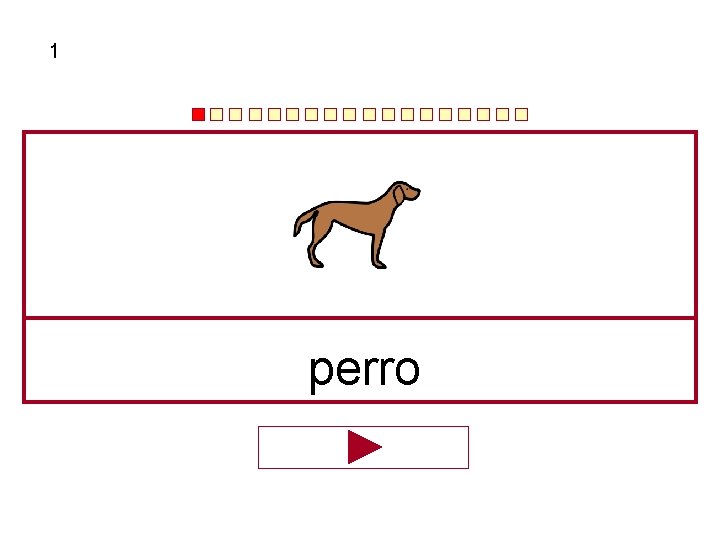 1 perro 