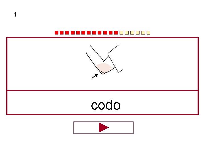 1 codo 