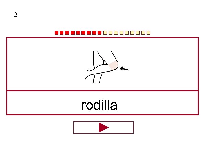 2 rodilla 