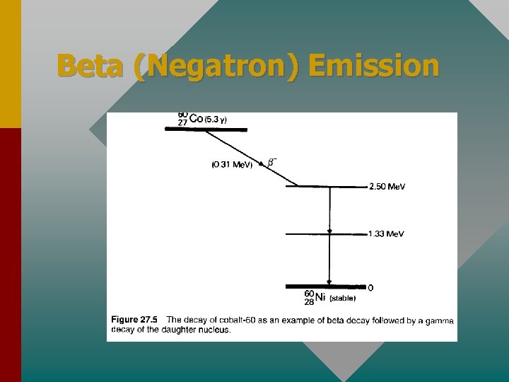 Beta (Negatron) Emission 