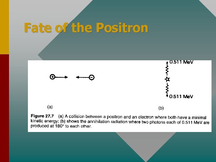 Fate of the Positron 