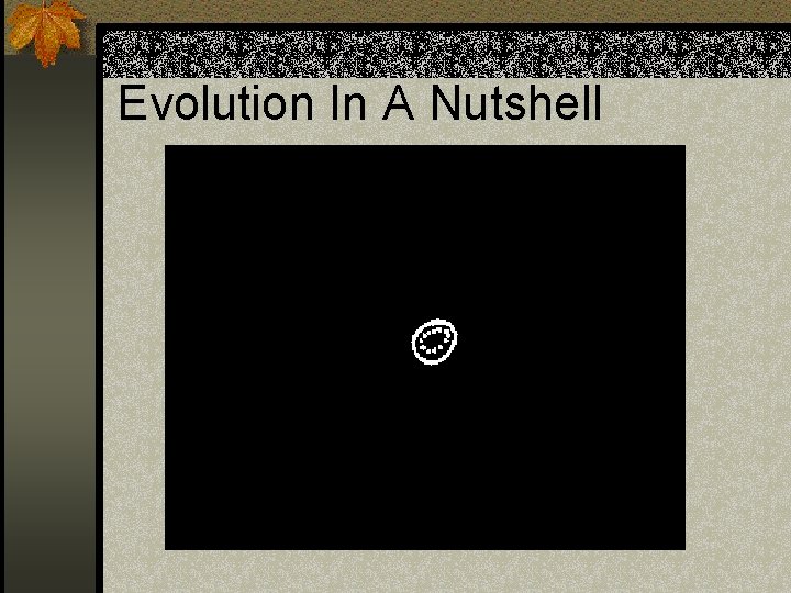 Evolution In A Nutshell 