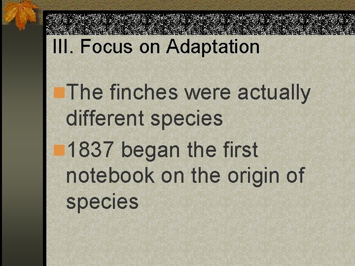 III. Focus on Adaptation n. The finches were actually different species n 1837 began