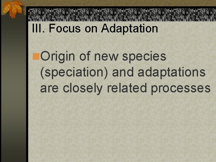 III. Focus on Adaptation n. Origin of new species (speciation) and adaptations are closely