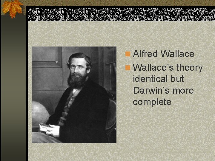 n Alfred Wallace n Wallace’s theory identical but Darwin’s more complete 
