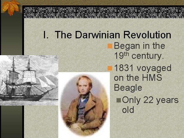I. The Darwinian Revolution n Began in the 19 th century. n 1831 voyaged