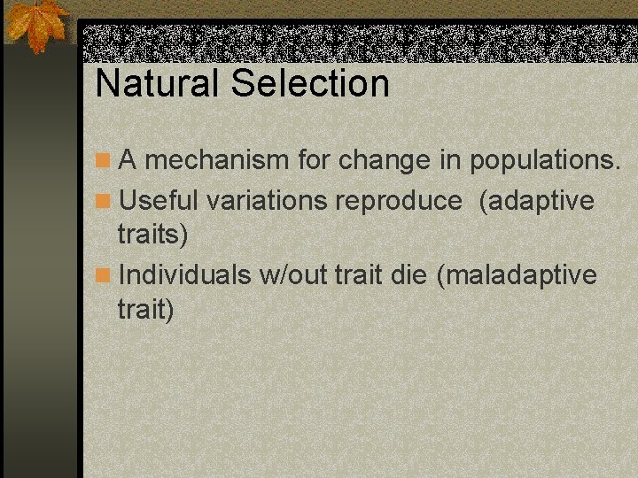 Natural Selection n A mechanism for change in populations. n Useful variations reproduce (adaptive