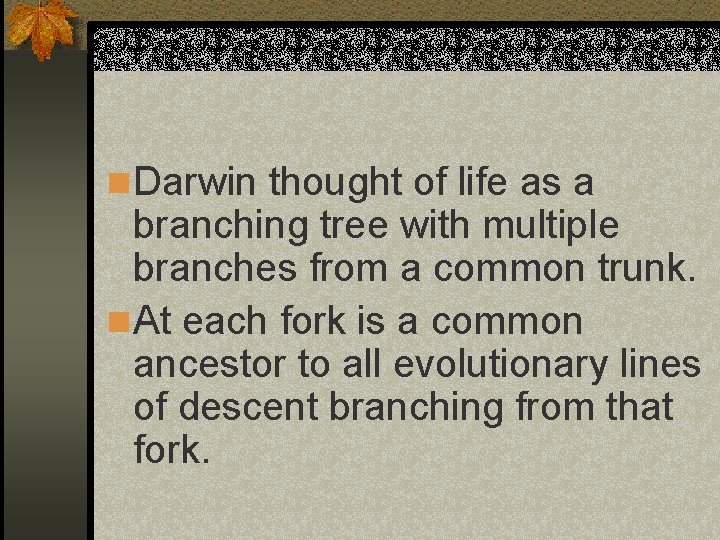 n Darwin thought of life as a branching tree with multiple branches from a