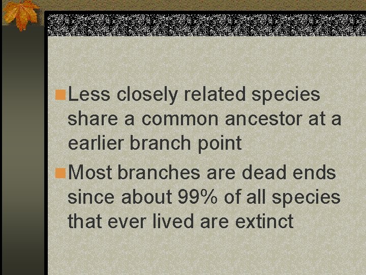 n Less closely related species share a common ancestor at a earlier branch point