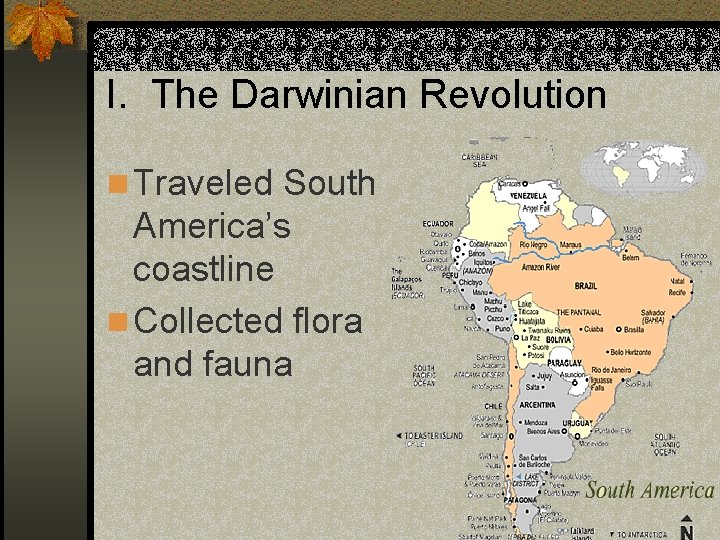 I. The Darwinian Revolution n Traveled South America’s coastline n Collected flora and fauna