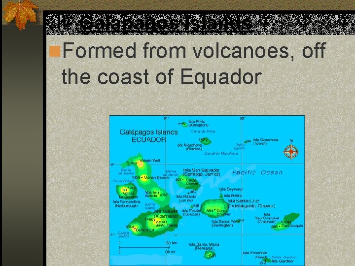 II. Galapagos Islands n. Formed from volcanoes, off the coast of Equador 