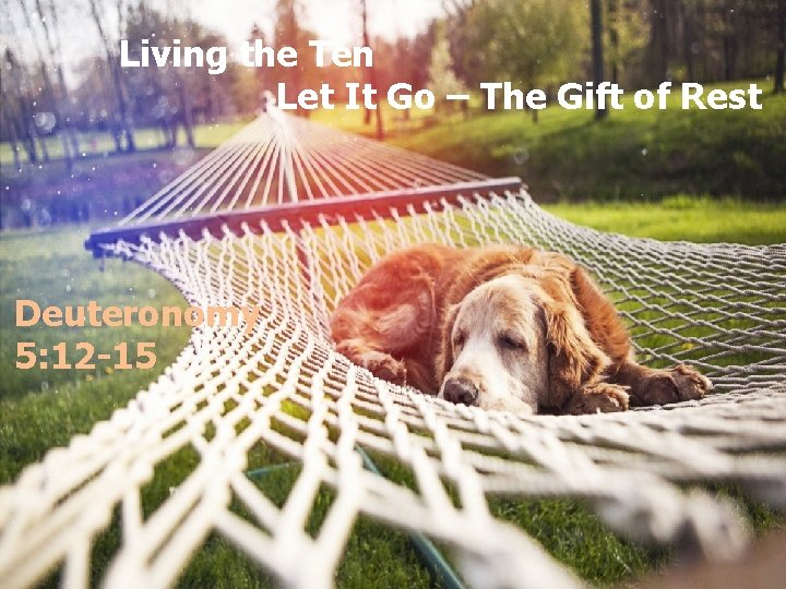 Living the Ten Let It Go – The Gift of Rest Deuteronomy 5: 12