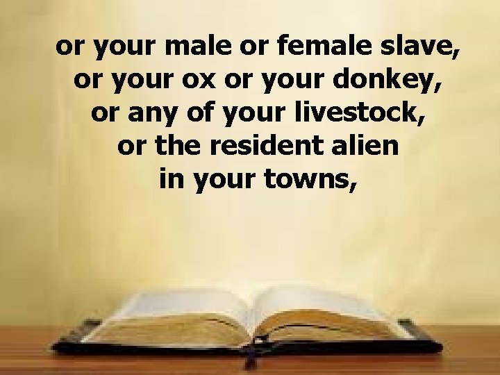 or your male or female slave, or your ox or your donkey, or any