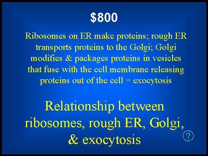 $800 Ribosomes on ER make proteins; rough ER transports proteins to the Golgi; Golgi