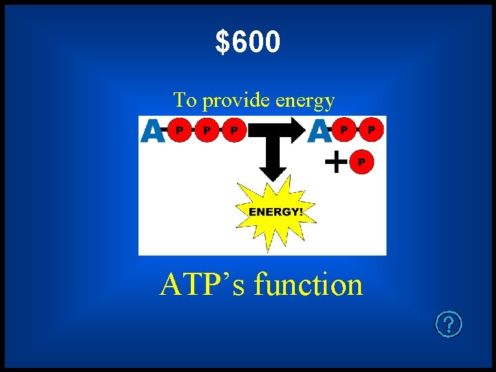 $600 To provide energy ATP’s function 