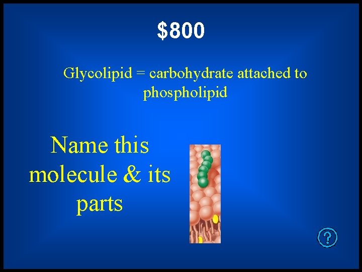 $800 Glycolipid = carbohydrate attached to phospholipid Name this molecule & its parts 