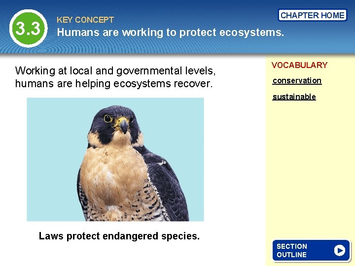 3. 3 KEY CONCEPT CHAPTER HOME Humans are working to protect ecosystems. Working at