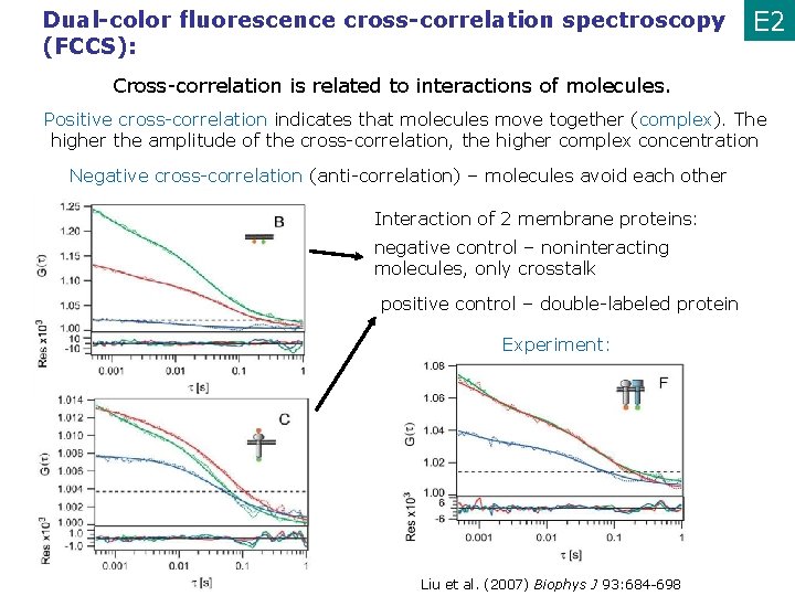 Dual-color fluorescence cross-correlation spectroscopy (FCCS): E 2 Cross-correlation is related to interactions of molecules.