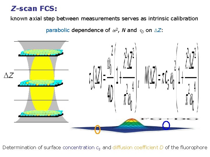 Z-scan FCS: known axial step between measurements serves as intrinsic calibration parabolic dependence of