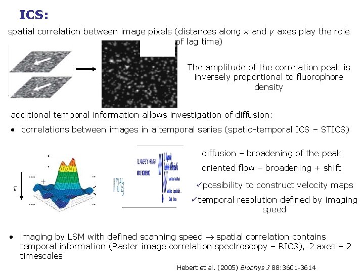 ICS: spatial correlation between image pixels (distances along x and y axes play the