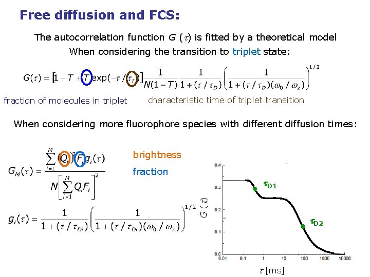Free diffusion and FCS: The autocorrelation function G (t) is fitted by a theoretical
