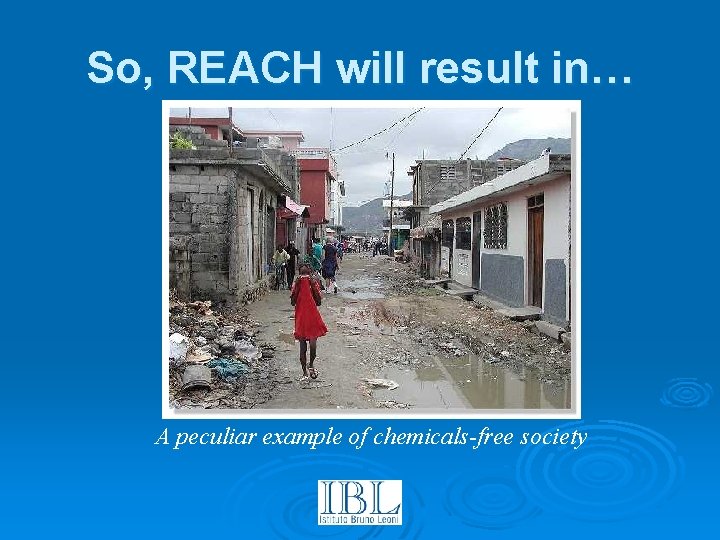 So, REACH will result in… A peculiar example of chemicals-free society 