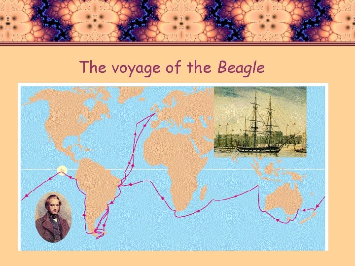 The voyage of the Beagle 