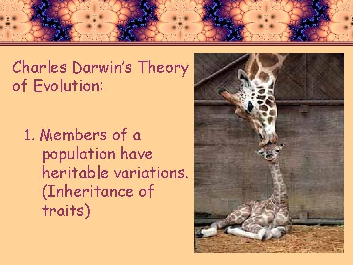 Charles Darwin’s Theory of Evolution: 1. Members of a population have heritable variations. (Inheritance