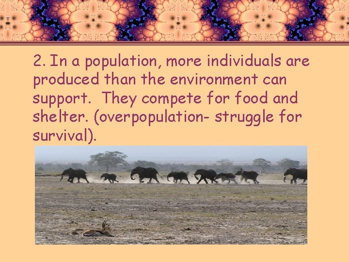 2. In a population, more individuals are produced than the environment can support. They
