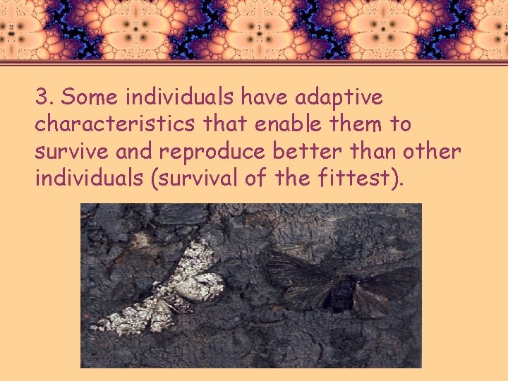 3. Some individuals have adaptive characteristics that enable them to survive and reproduce better