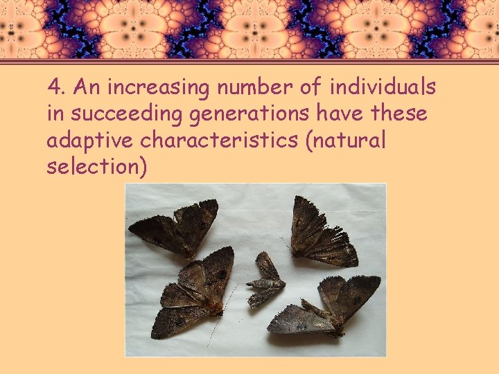 4. An increasing number of individuals in succeeding generations have these adaptive characteristics (natural