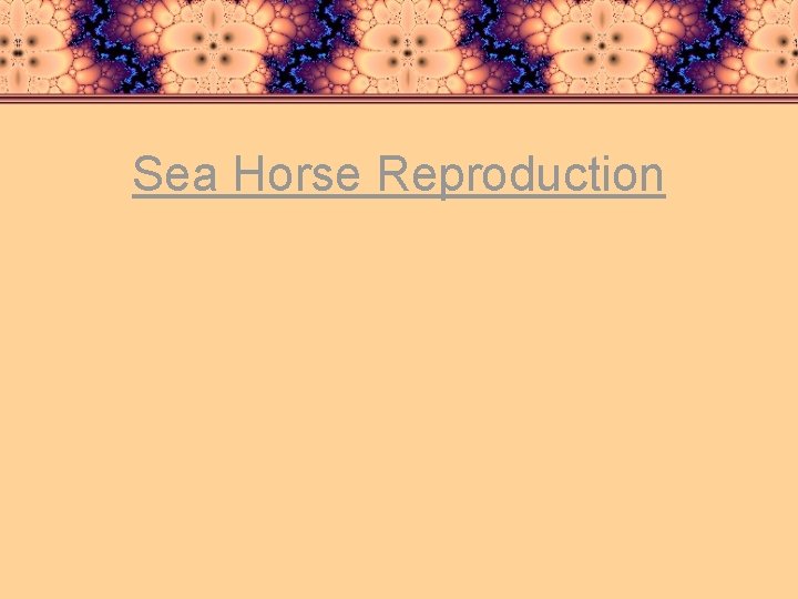 Sea Horse Reproduction 
