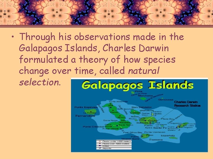  • Through his observations made in the Galapagos Islands, Charles Darwin formulated a