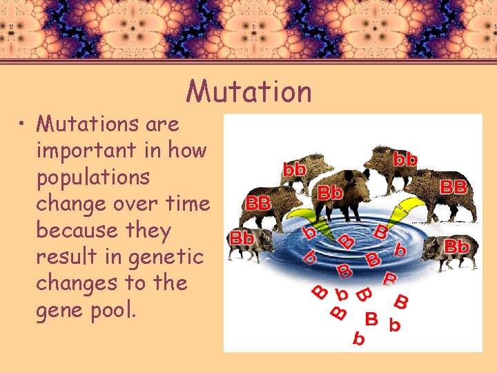 Mutation • Mutations are important in how populations change over time because they result