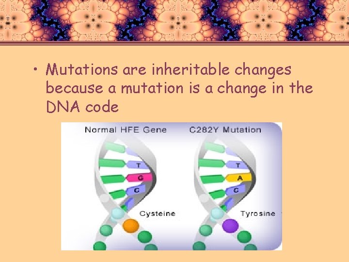  • Mutations are inheritable changes because a mutation is a change in the