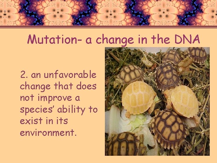 Mutation- a change in the DNA 2. an unfavorable change that does not improve