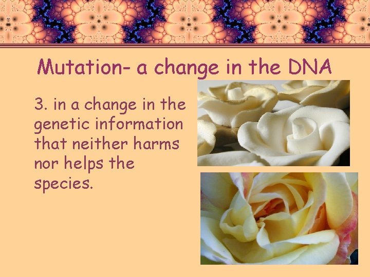 Mutation- a change in the DNA 3. in a change in the genetic information