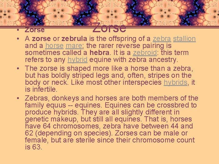 Zorse • Zorse • A zorse or zebrula is the offspring of a zebra