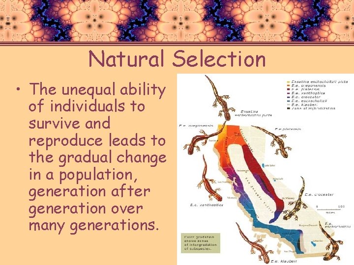 Natural Selection • The unequal ability of individuals to survive and reproduce leads to