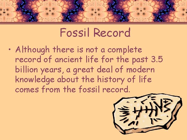 Fossil Record • Although there is not a complete record of ancient life for